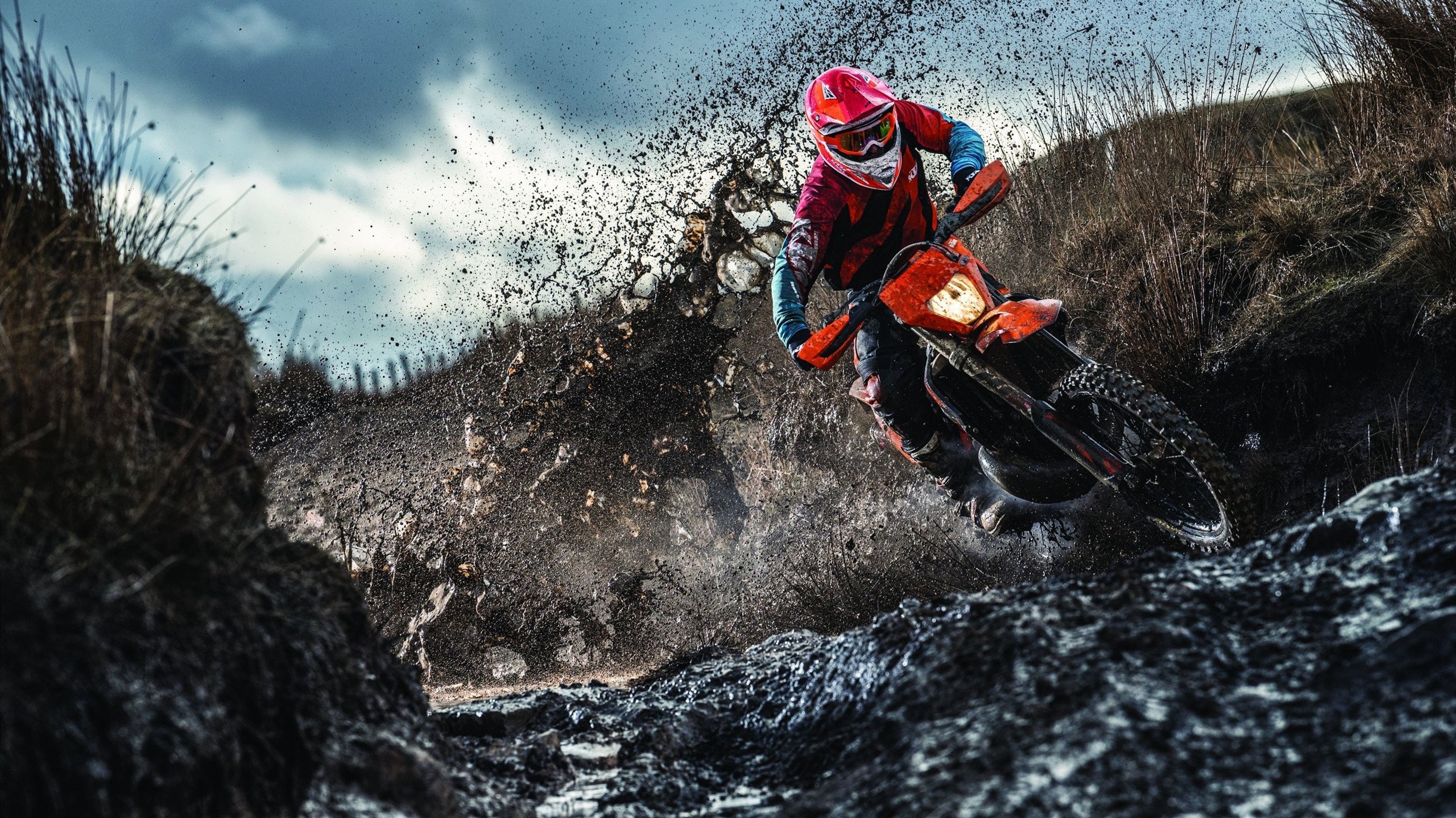 《Apex Legends》线上线下联动赛事,玩家热情高涨,apex英雄联赛